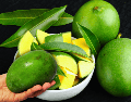 Cuando el mango está verde, su pulpa contiene una cantidad significativamente menor de azúcar, lo que se traduce en un índice glucémico mucho más bajo en comparación con su versión madura. ESPECIAL / CANVA