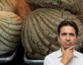 Siete alimentos que son opción para combatir ese antojo de "dulce"; a ver si te funcionan. SUN / ARCHIVO
