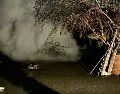 El géiser emergió repentinamente en Ixtlán de los Hervores expulsando agua hirviendo, lodo y vapor. CAPTURA DE VIDEO