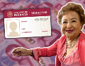 El registro para el programa de Vinculación Productiva es gratuito y se realiza en los módulos oficiales del Inapam. ESPECIAL/Canva/Inapam