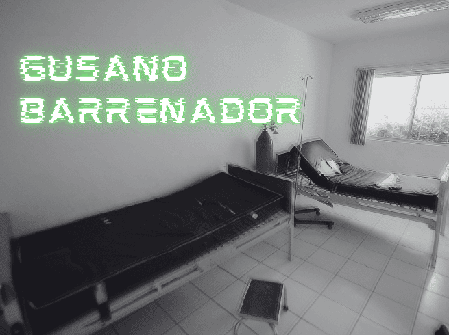 De acuerdo con el informe de casos activos de CBG de la Senasica, al corte del 27 de mayo se reportaron cuatro casos de gusano barrenador en la Ciudad de México. EL INFORMADOR/ARCHIVO