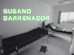 De acuerdo con el informe de casos activos de CBG de la Senasica, al corte del 27 de mayo se reportaron cuatro casos de gusano barrenador en la Ciudad de México. EL INFORMADOR/ARCHIVO