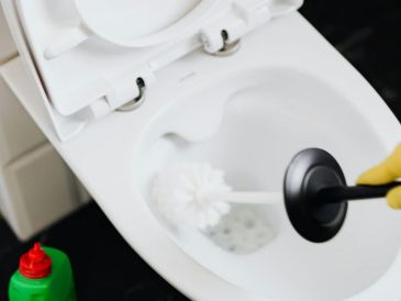 La recomendación es colocar varios cubos de hielo en la taza durante las horas de menor uso, preferentemente por la noche o antes de salir de casa por un periodo prolongado. Pexels