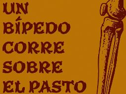 Museo de Paleontología. Ilustración de la muestra “Un bípedo corre sobre el pasto: La historia de un primate que juega futbol”. CORTESÍA
