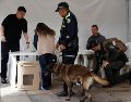 Policías inspeccionan el lugar donde vota el presidente de Colombia, Gustavo Petro este domingo en Bogotá. EFE/M. Dueñas