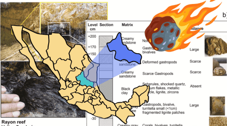 La historia de cómo se llegó a este punto es intrigante: este ambicioso proyecto científico e histórico inició formalmente en el año 2019 FACEBOOK/Universidad Autónoma de San Luis Potosí. UASLP