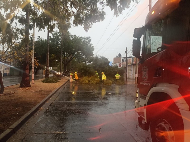PROTECCIÓN CIVIL Y BOMBEROS GUADALAJARA