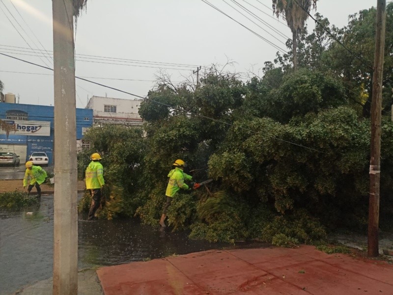 PROTECCIÓN CIVIL Y BOMBEROS GUADALAJARA&nbsp;