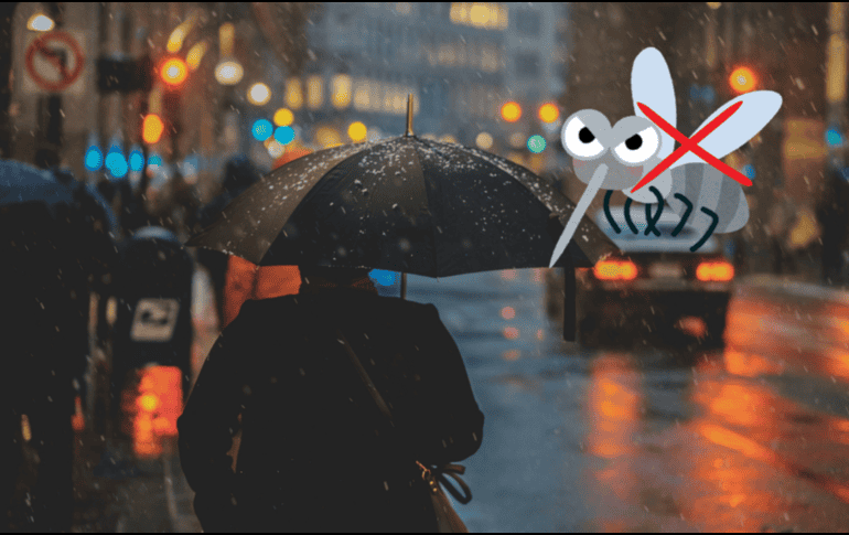 La lluvia generalmente viene acompañada de ráfagas de viento que representan otro desafío para los mosquitos. UNSPLASH / CANVA