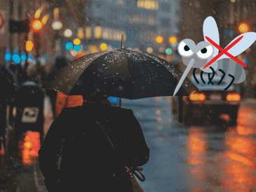 La lluvia generalmente viene acompañada de ráfagas de viento que representan otro desafío para los mosquitos. UNSPLASH / CANVA