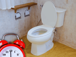 La recomendación médica principal es levantarse al baño en cuanto se percibe la necesidad de orinar. ESPECIAL / CANVA