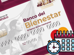Los apoyos del Bienestar para estos sectores son para fortalecer su autonomía económica. ESPECIAL