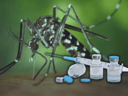 Kershenobich indicó que las autoridades sanitarias se encuentran trabajando para poder aplicar la vacuna contra el dengue. ESPECIAL/Canva