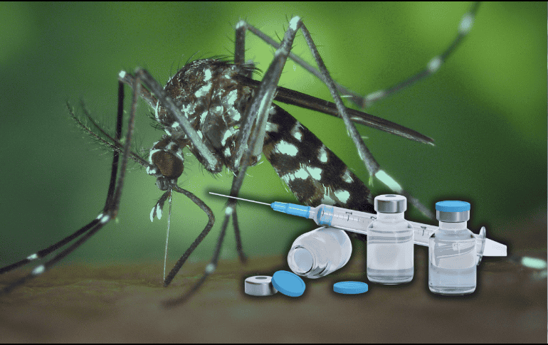 Kershenobich indicó que las autoridades sanitarias se encuentran trabajando para poder aplicar la vacuna contra el dengue. ESPECIAL/Canva