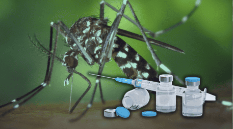 Kershenobich indicó que las autoridades sanitarias se encuentran trabajando para poder aplicar la vacuna contra el dengue. ESPECIAL/Canva