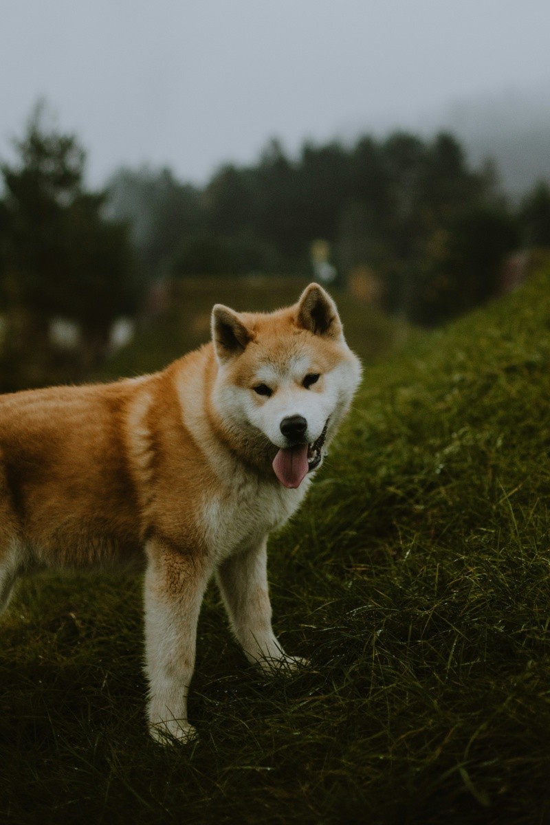 UNSPLASH / C. CIPRIAN&nbsp;