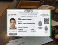El documento está diseñado para convertirse en una herramienta clave para la validación de identidad. SUN/ESPECIAL