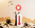 De acuerdo con la OMS, más allá del riesgo inmediato de un golpe de calor, la exposición constante a climas severos está generando una crisis de salud pública a largo plazo. CANVA
