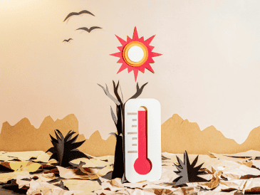De acuerdo con la OMS, más allá del riesgo inmediato de un golpe de calor, la exposición constante a climas severos está generando una crisis de salud pública a largo plazo. CANVA