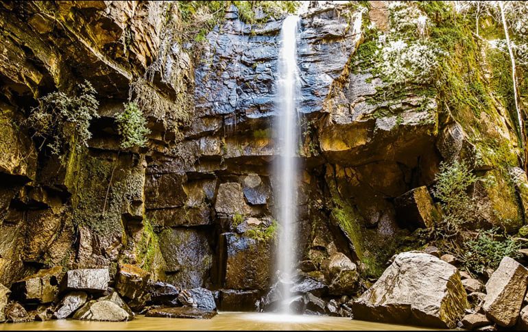Destino habitual para quienes buscan actividades de ecoturismo, senderismo, observación de la naturaleza o mera relajación. ESPECIAL