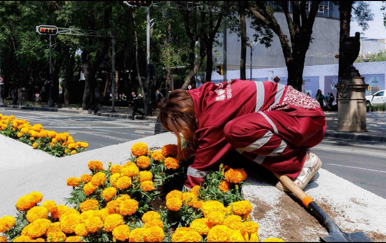 Asistir al Paseo de la Reforma es una oportunidad única para vivir el nostálgico espíritu de noviembre en medio de la efervescente fiebre mundialista de este mes de junio. SUN / O. Alvarado