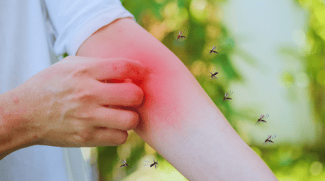 Las altas temperaturas primaverales acortan drásticamente el ciclo reproductivo del temido mosquito Aedes aegypti, el cual es el principal vector de enfermedades virales que afectan a la población mexicana cada año. ESPECIAL / CANVA