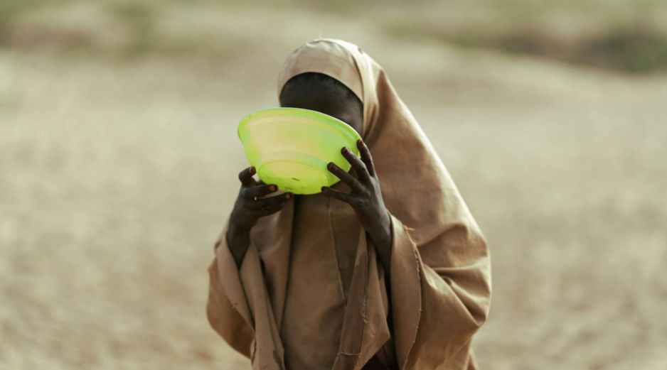 Las cifras que respaldan esta crisis son alarmantes y reflejan un deterioro acelerado de la seguridad alimentaria global, además de que ya que el sistema humanitario debe gestionar múltiples emergencias simultáneas con menos recursos. PEXELS