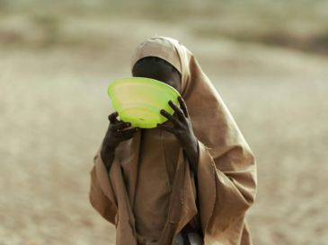 Las cifras que respaldan esta crisis son alarmantes y reflejan un deterioro acelerado de la seguridad alimentaria global, además de que ya que el sistema humanitario debe gestionar múltiples emergencias simultáneas con menos recursos. PEXELS