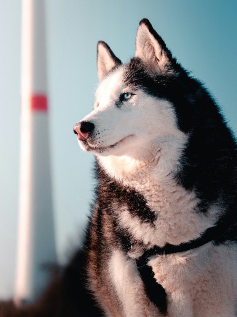 Unsplash.&nbsp;