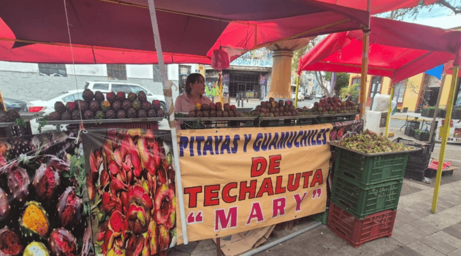 Aún hay pitaya; la Feria comienza a inicios de abril y concluye a inicios de julio. EL INFORMADOR / O. GONZALEZ
