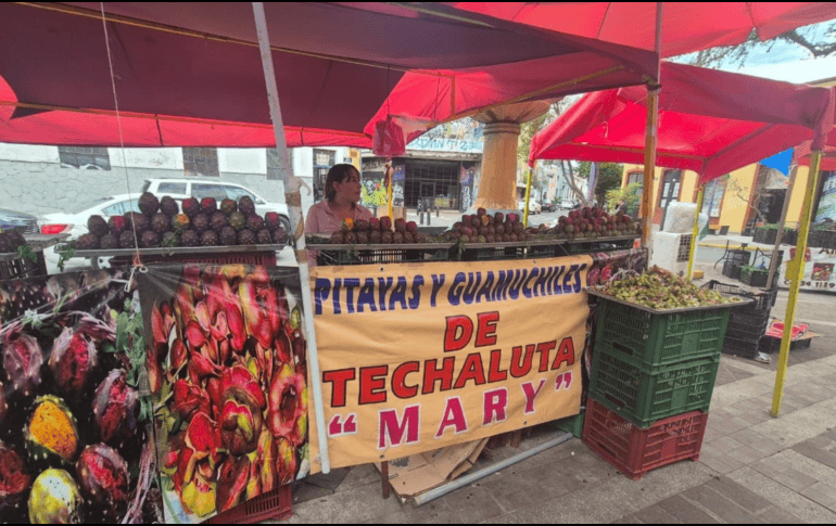Aún hay pitaya; la Feria comienza a inicios de abril y concluye a inicios de julio. EL INFORMADOR / O. GONZALEZ