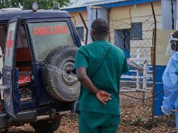 El virus del Ébola se transmite por contacto directo con fluidos corporales de personas o animales infectados y causa fiebre hemorrágica grave, vómitos, diarrea y hemorragias internas. EFE/EPA/D. Dirole