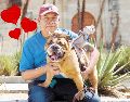 Esto se sabe sobre la relación entre la longevidad y cuidar mascotas. SUN / ARCHIVO