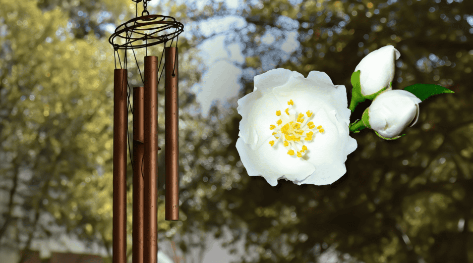 El Feng Shui ha asociado ciertas plantas con la prosperidad, la buena fortuna y el éxito económico. CANVA