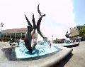 Jalisco es el único Estado con ciudades dentro del top tres nacional en competitividad. EL INFORMADOR/ARCHIVO