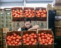 El jitomate fue uno de los productos agropecuarios que ayudó a contener la inflación en mayo. AFP