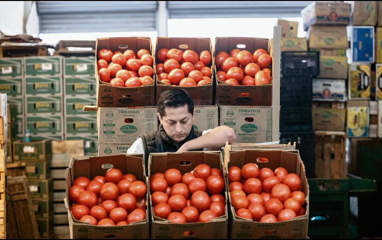 El jitomate fue uno de los productos agropecuarios que ayudó a contener la inflación en mayo. AFP