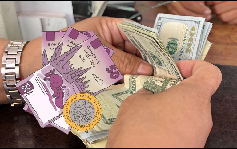 Te compartimos el precio del dólar en distintas sucursales bancarias de México y más datos sobre el comportamiento del precio de la divisa este 25 de junio. EL INFORMADOR / ARCHIVO