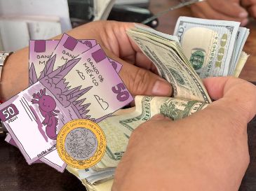 Te compartimos el precio del dólar en distintas sucursales bancarias de México y más datos sobre el comportamiento del precio de la divisa este 17 de julio. EL INFORMADOR / ARCHIVO