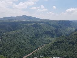 BARRANCA DE HUENTITÁN, en Guadalajara. El verano es la época donde la naturaleza luce su máximo esplendor. EL INFORMADOR / ARCHIVO