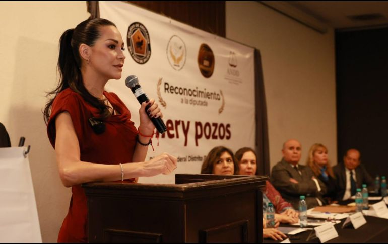 La presidenta de la Comisión de Presupuesto y Cuenta Pública insistió en que deberá revisarse el destino y ejercicio del dinero ya asignado. ESPECIAL