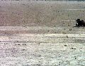 Múltiples regiones de la República Mexicana están en riesgo de enfrentar escasez de agua. EL INFORMADOR/ARCHIVO