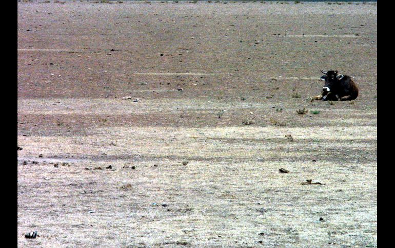 Múltiples regiones de la República Mexicana están en riesgo de enfrentar escasez de agua. EL INFORMADOR/ARCHIVO