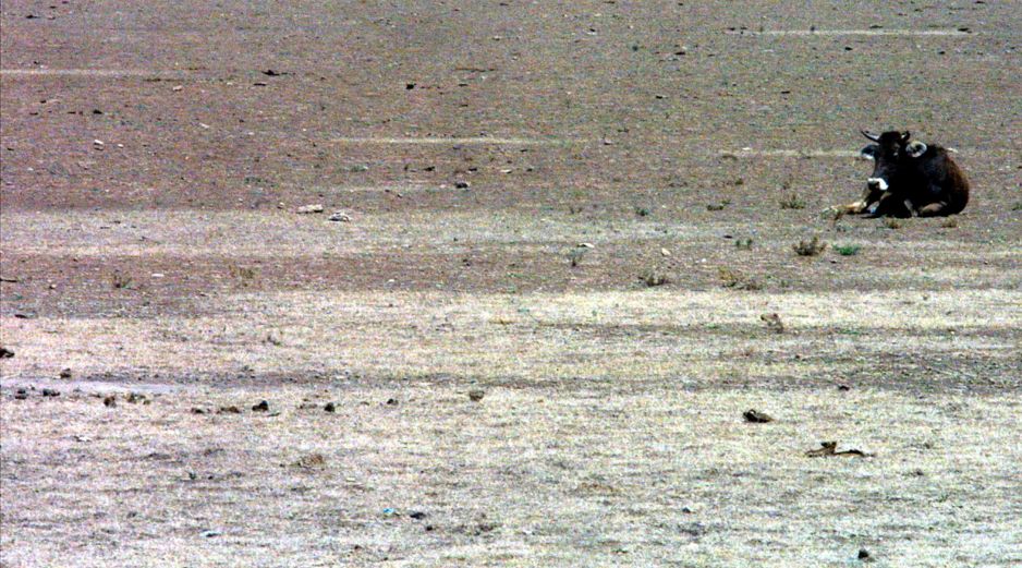 Múltiples regiones de la República Mexicana están en riesgo de enfrentar escasez de agua. EL INFORMADOR/ARCHIVO