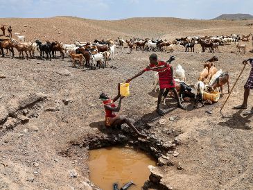 Unicef pide a las autoridades que reduzcan las emisiones y tomen medidas "ambiciosas". EFE / D. IRUNGU