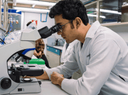 El grupo de este año investigará una variedad de temas relacionados a la biomedicina. CANVA