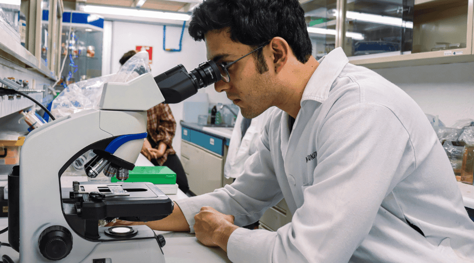 El grupo de este año investigará una variedad de temas relacionados a la biomedicina. CANVA