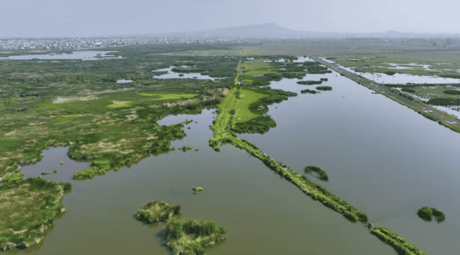 El humedal contribuirá a la recarga de mantos freáticos y la regulación de inundaciones. SUN