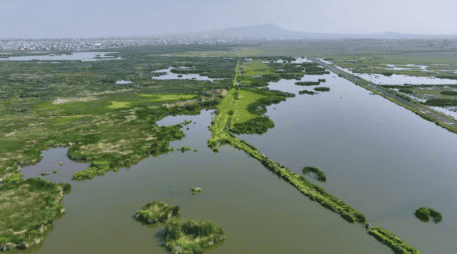 El humedal contribuirá a la recarga de mantos freáticos y la regulación de inundaciones. SUN