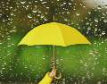 La probabilidad de lluvia se mantiene alta, oscilando entre el 60 y el 65 por ciento según los reportes meteorológicos. ESPECIAL / CANVA